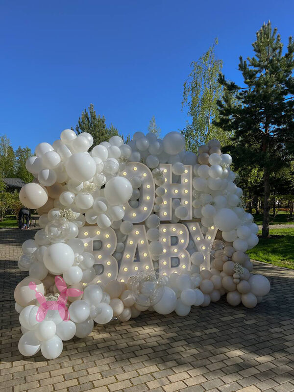 Фотозона на гендер пати "Oh baby"
