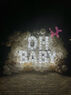 Фотозона на гендер пати "Oh baby"